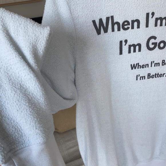 WILDFOX Crewneck Sweater - Picture 3 of 4